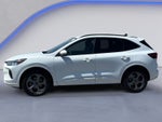 2023 Ford Escape Hybrid ST-Line Select