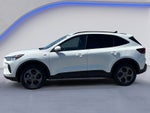 2025 Ford Escape Hybrid ST-Line Select