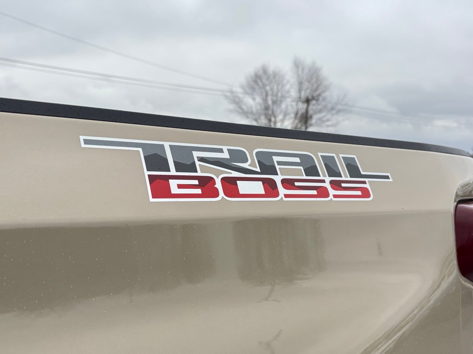 2022 Chevrolet Silverado 1500 Custom Trail Boss