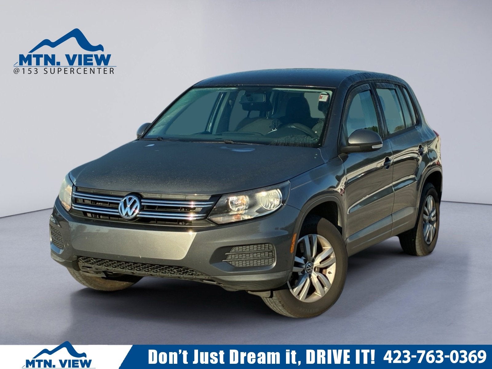 2013 Volkswagen Tiguan S